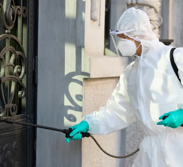 best pest control services in Dubai